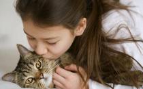 吸猫有风险 免疫力低尽量别养猫
