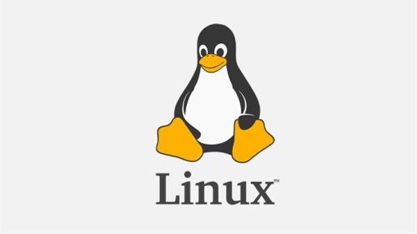 Linux 目录结构及详细操作